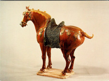 Tricolour-Glazed Pottery Horse Tang Dynasty Vintage Postcard TP14-12 picture
