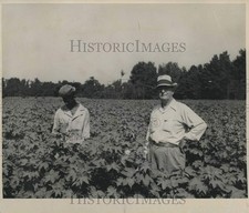 1949 Press Photo Mr. Magruder & Mose, one of his young farmers in a cotton field picture