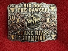 Bulldogging X~Treme Rodeo Champion Trophy Buckle☆Snake River☆1991☆Rare☆747 picture
