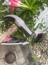 Very Old  Nail Hammer Adze Eye Octagon Face Wood Handle 24 oz. Ram's Horns Claws picture