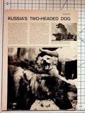 1959 Life Magazine Russia's Two-Headed Dog Demikhov Soviet Science Ephemera picture