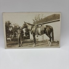 RPPC Postcard Beautiful Horse With Owner picture