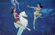 Weeki Wachee FL Live Mermaids Ward Beckett & Co. c1950s-60s Vintage Postcard picture