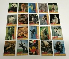 1992 Rare & Endangered Species Trading Cards Complete Set (1-20) NRMT/MT picture