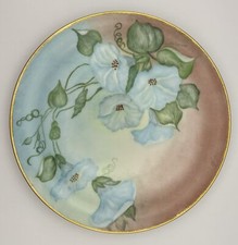 Rare Hutschenreuther Bavaria Germany Plate Vintage German Porcelain Cabinet picture