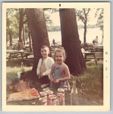 Vtg Color Snapshot Two Cute Kids Picnic Summer Lakeside 1969 picture