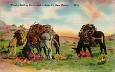 Wood Sold by Burro Load, Santa Fe, New Mexico NM 1947 linen Postcard picture