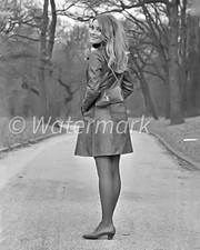 SHARON TATE - 1960s Actress ❤️ 8X10 PUBLICITY PHOTO - Hollywood - Film picture