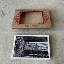 Souvenir Views Vtg picture 18 Mini Redwood Hwy CA picture