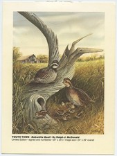Bobwhite Quail by Ralph J. McDonald Print Card picture