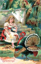 Girl Feeding Two Turkeys, Thanksgiving, Antique Postcard 2692 picture