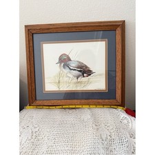Vintage Framed Duck Bird Art Print Wood Frame Green Brown Duckling (10in x 12in) picture