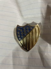 Vintage DAR Shield Pin picture