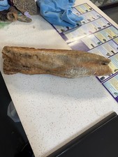 Calcite Stalactite Mineral Specimen from Cave Natural Rare Unique Beautiful 7lbs picture