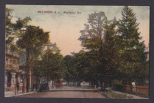 Postcard, United States, Westwood NJ, Westwood Ave picture