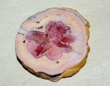 7 PCS LOT Rhodochrosite Trapiche Stalactite flower  from Argentina * Bulk picture