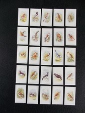 PJ Carrol Cigarette Cards Birds 1939 Complete Set 25 picture