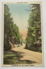 Vintage Postcard ~ Hemlock Trail across Route 368 ~ Cook Forest Pennsylvania PA picture