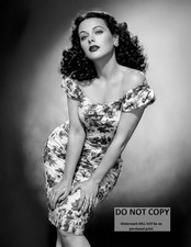 ACTRESS HEDY LAMARR - 8X10 PUBLICITY PHOTO (SP-556) picture