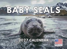 Baby Seal Calendar 2027 Monthly Wall 12 Month picture