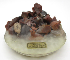 VTG Petrified Wood Souvenir Of Petrified Forest with Baby Deer picture