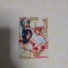 One Piece Pirate King Gummy Card No.237 Nami & Robin Plastic Japanese Card Bath picture