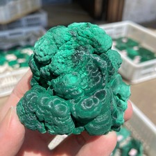 185g Natural malachite crystal quartz rough Gemstone mineral specimen healing picture