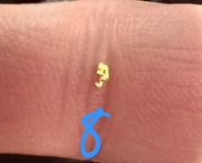 Brilliant Example Of 98.7% PURE Dahlonega GOLD from CRISSON GOLD MINES picture