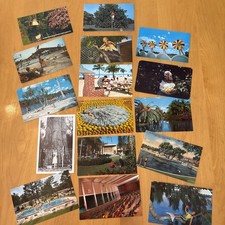 16 Vintage Unused Postcards From Florida. Mermaids Weeki Wachee, & Other Ladies picture