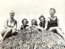 Original Large Vintage Photo- Semi Nude- Bathing Beauties- Miami Beach- 1934 picture