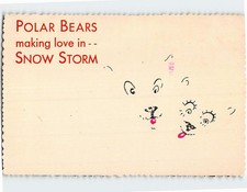 Postcard Polar Bears making love in Snow Storm Alaska USA picture
