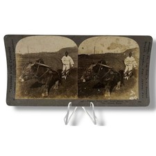 Keystone View Company Stereoview Card Plowing Scene Korea 1901 picture