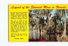 Legend of the Spanish Moss in Florida USA H-50887 picture
