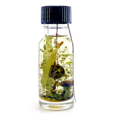 SHI SHI OIL, Money Drawing Oil, $ Magnet, Fast Money Prosperity, FROM TWICHERY picture