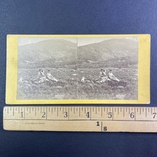 Kearsarge Mountain Stereoview John Bachelder NH 1870s Andover Centre picture