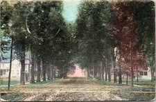 South Fifth Street View Fairbury Illinois IL DB Postcard B32 picture