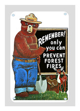 Smokey The Bear Only You Can Prevent Forrest Fires 8x12 Aluminum Metal Sign picture