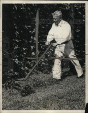 1931 Press Photo Alonzo A Stagg coach University of Chicago mows his lawn picture
