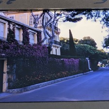 1965 French Riviera Palace Purple Flowers 35mm Sharp Photo Kodak Architecture D6 picture