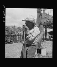 Photo:Guanica Puerto Rico 1942 Sugar Cane Loading Station Worker picture