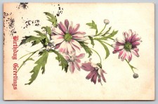 Antique 1907 Birthday Greetings Postcard Floral Daisies Made in Austria Posted picture