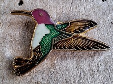 Hummingbird Pin Back picture
