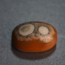 Warm Tone Red Carnelian Bead, Vintage Banded Agate, Old Collectible Stone 7.4g picture
