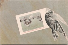Mardi Gras New Orleans Postcard Rex Arrival, Adolph Selige, Germany picture