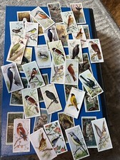 10 x Birds/winged/flying Animals Cigarette/tobacco Cards Random Lot 1920’s-30’s picture