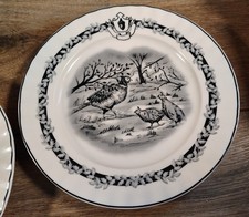 These Two are 8-inch, black and white scalloped pheasant quail 8