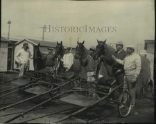 1959 Press Photo Entries From Dick Williams Stable for Inaugural Pace Line Up picture