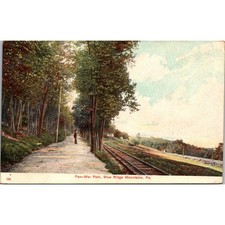 Pen-Mar Path in Blue Ridge Mountains PA 1908 Vintage Postcard SP6-1 picture