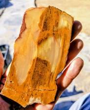 Verde Canyon Onyx OLD HONEY ONYX SLAB    CALIFORNIA picture