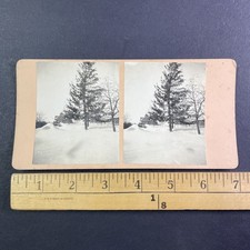 Jacques-Cartier Park Hull Quebec Stereoview Winter Scene Canada Antique picture